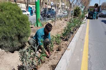در آستانه  نوروز  
شهر  گلباران شد 
 کاشت  یکصد هزار  عدد گل شب بو و فصلی  در 
#خمینی‌شهر 